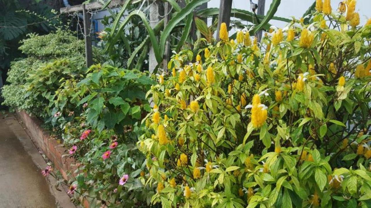 Maymyo Sa Khan Tha Hotel Pyin Oo Lwin Exterior foto
